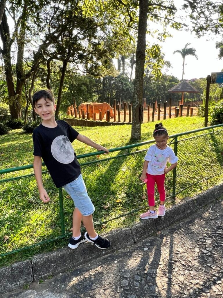 Crianças observando os rinocerontes no Zoológico de São Paulo