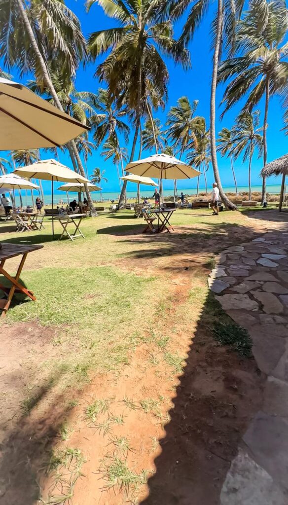 restaurante aneis de maracajauna praia dos parrachos