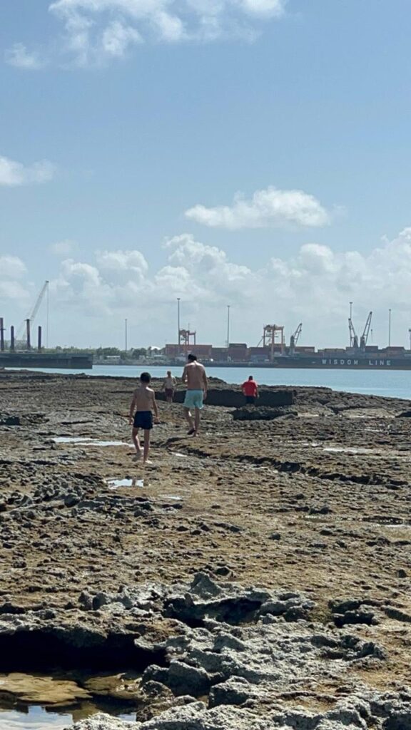 barreira de coral em frente ao resort vila gale do cabo em pernambuco