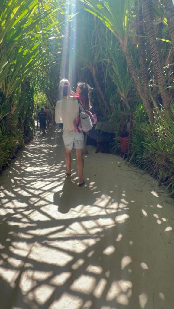 entrada toda verde com plantas no restaurante bora bora em praia dos carneiros