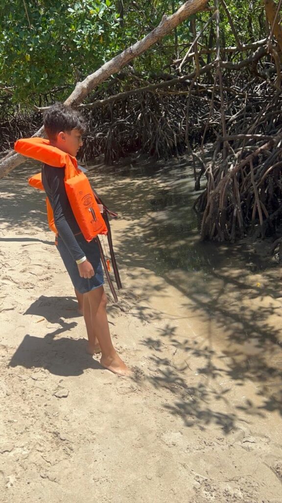 mangue no vila gale do cabo em pernambuco