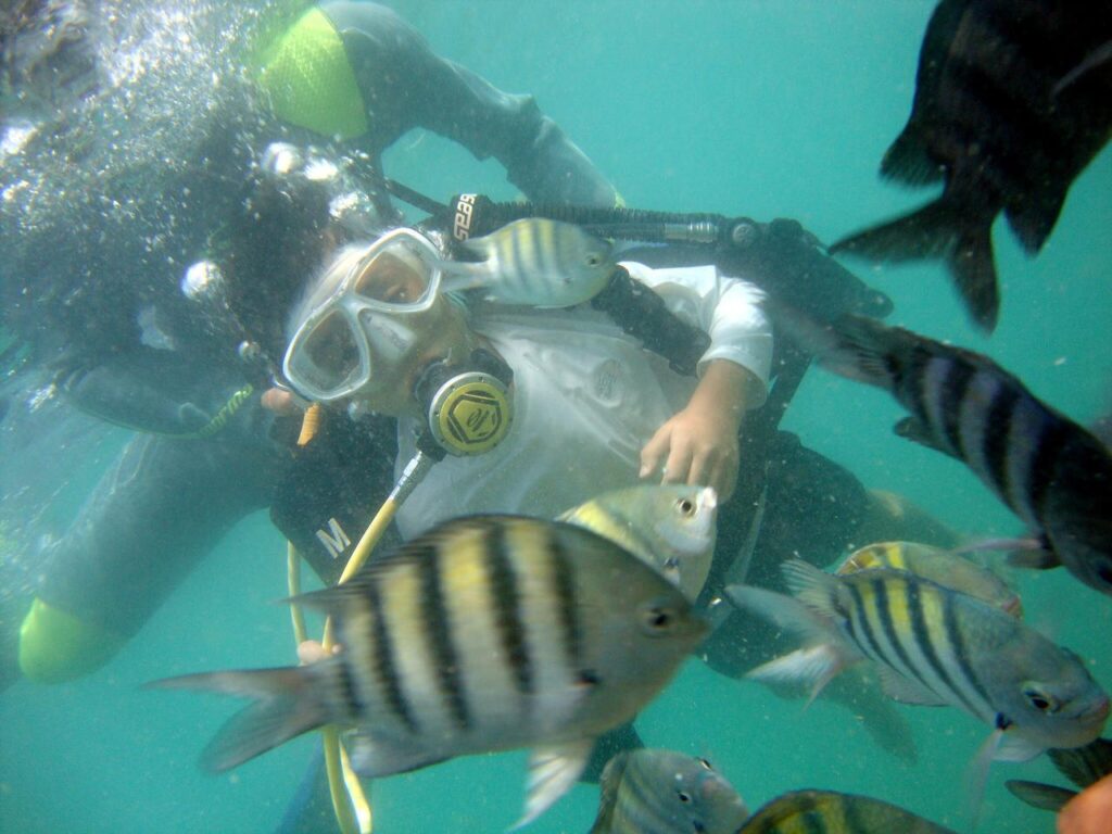 turista fazendo mergulho com peixes em maragogi