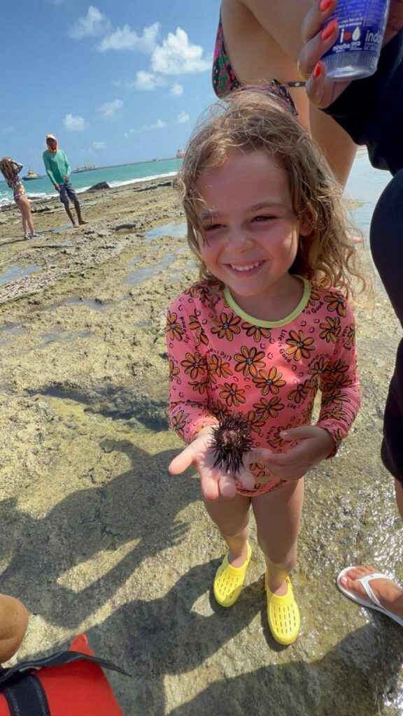 turista com ouriço do mar na barreira de coral em frente ao resort vila gale do cabo
