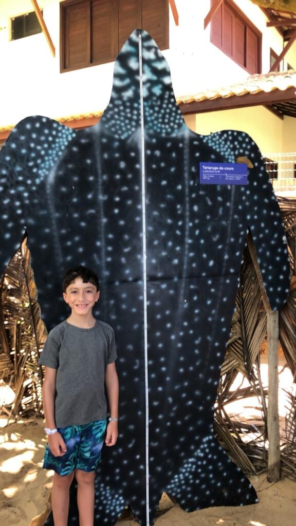 casco de tartatuga no projeto tamar na praia do forte na bahia