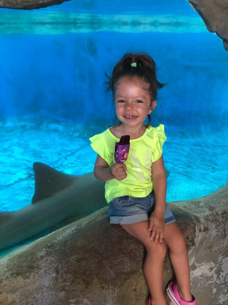 tanque de tubarão no projeto tamar na praia do forte na bahia