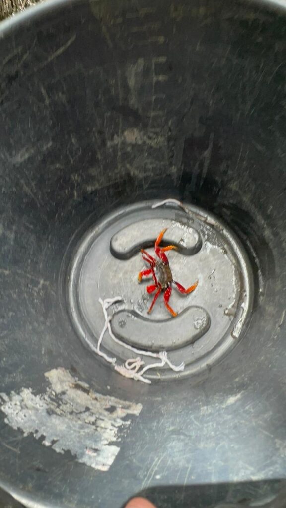 pesca do caranguejo no resort transamerica comandatuba