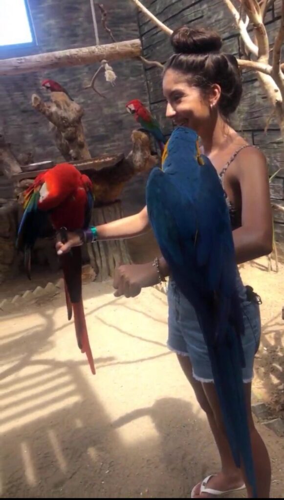 turista no zoologico de maragogi