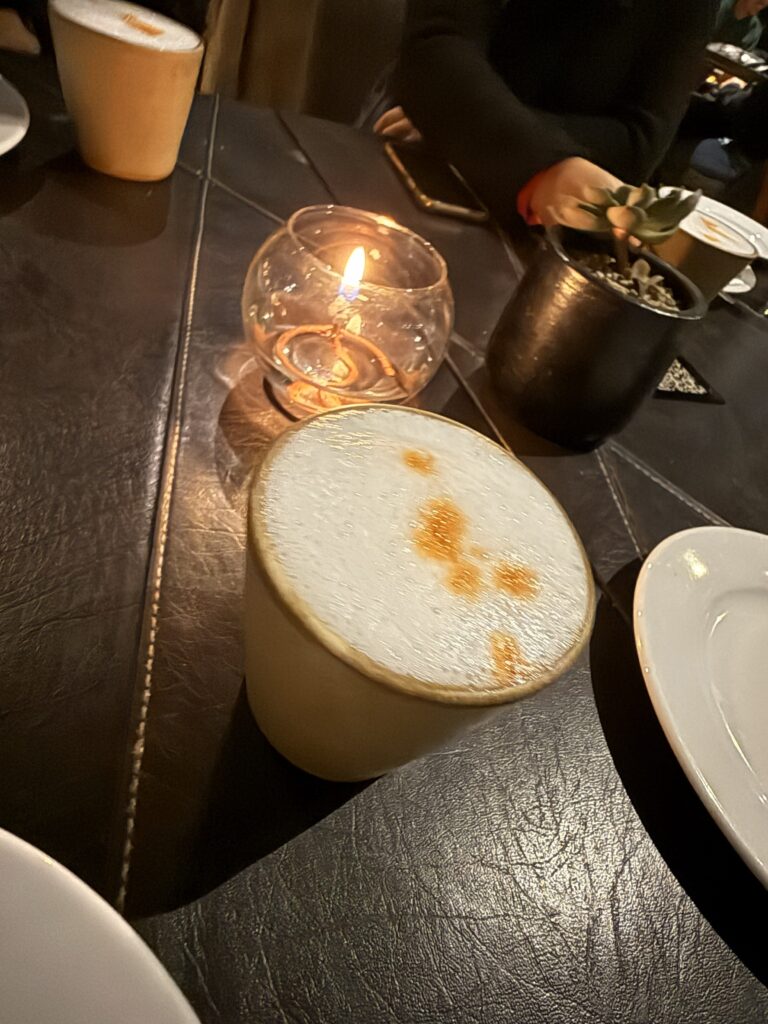 bebida tipica deo chile feita de pisco- pisco sour