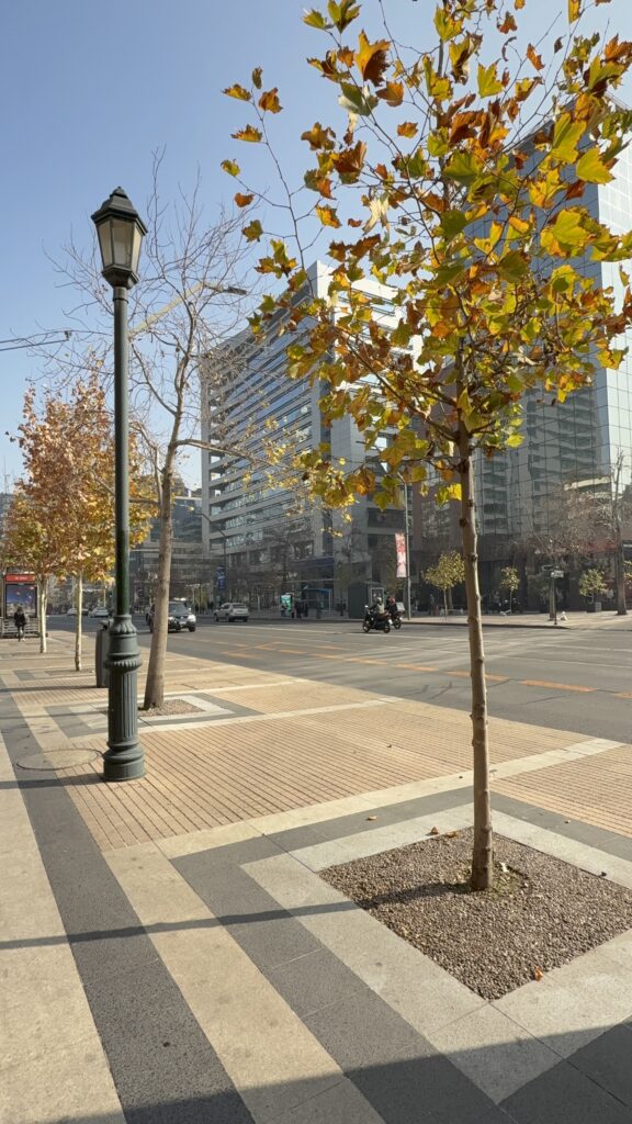 rua de santiago do chile no inverno