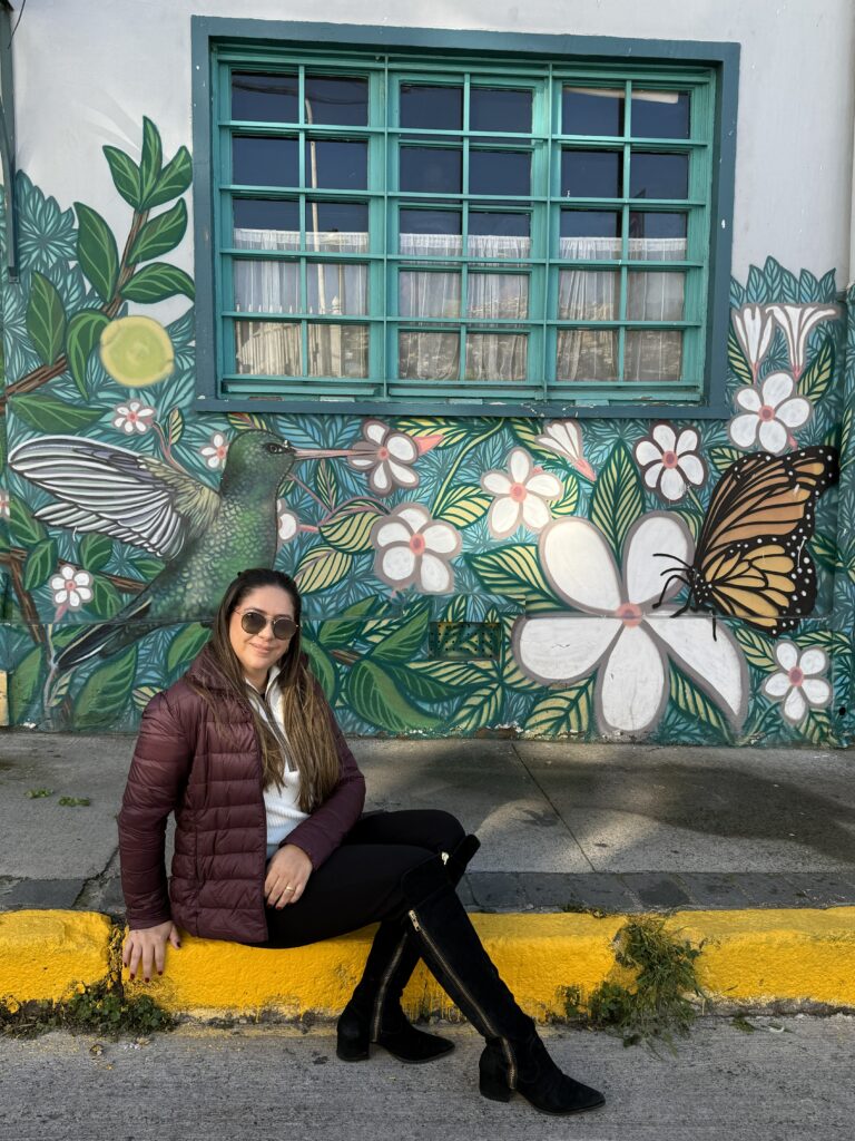 artes nas ruas de valparaiso no chile