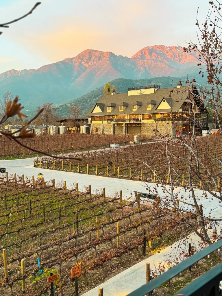 vinicola alyan family em santiago do chile