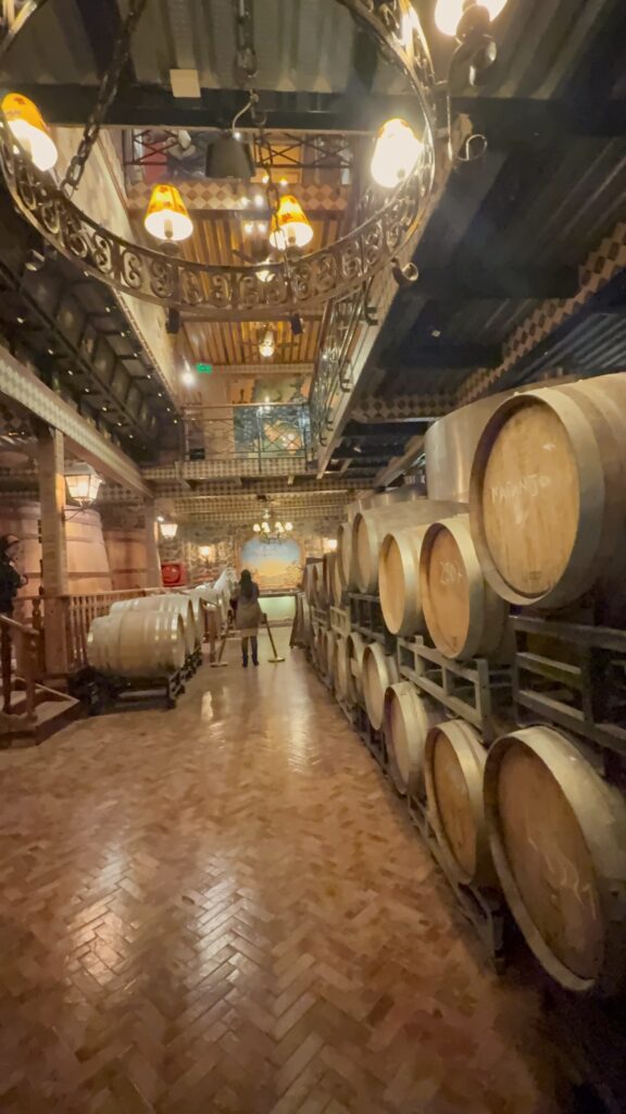 adega de vinho da vinicola alyan family em santiago do chile