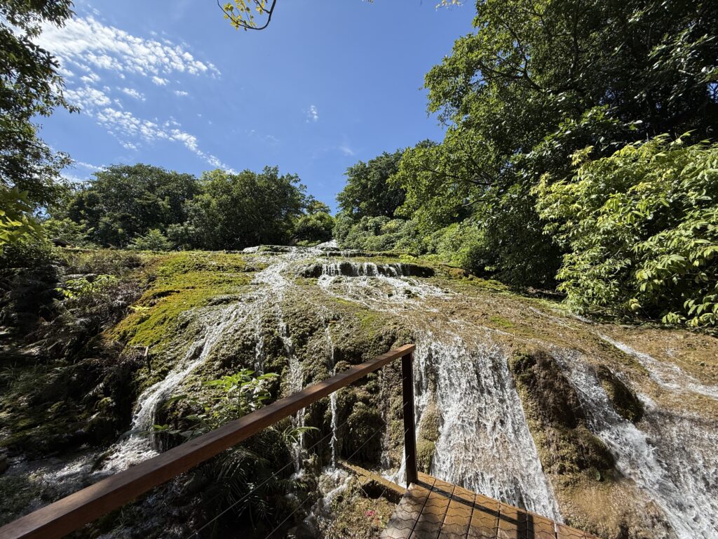 tufas calcárias na nascente azul em bonito ms
