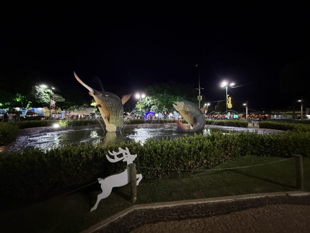 piraputanga na praça de bonito ms