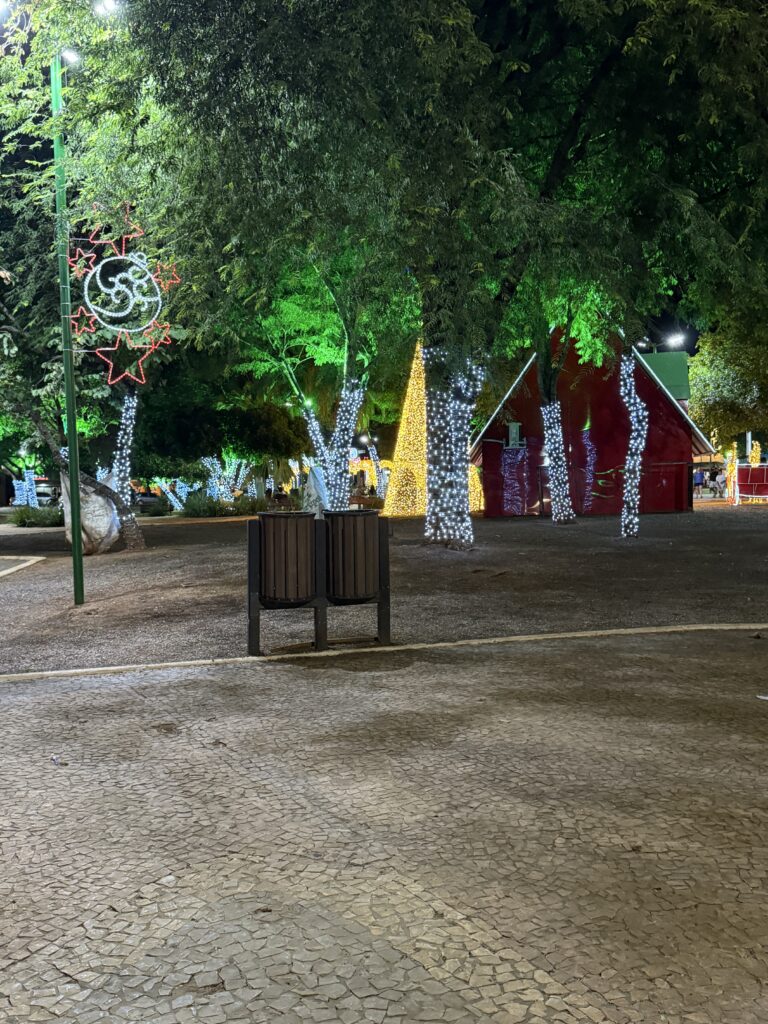 centrinho de bonito ms