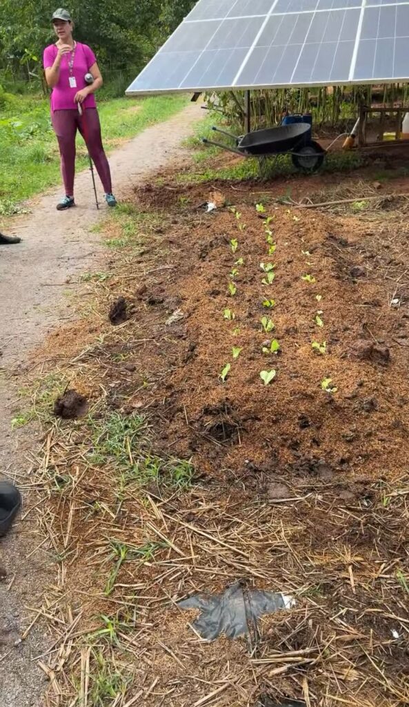 fazenda estância mimosa em bonito ms