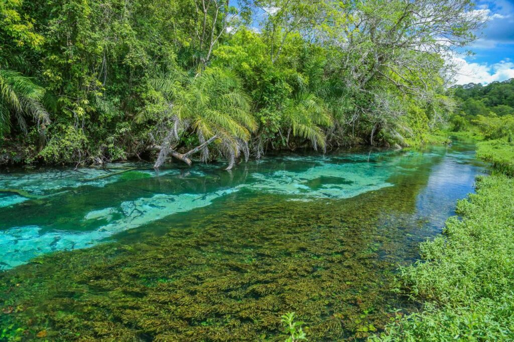 passeios em bonito ms